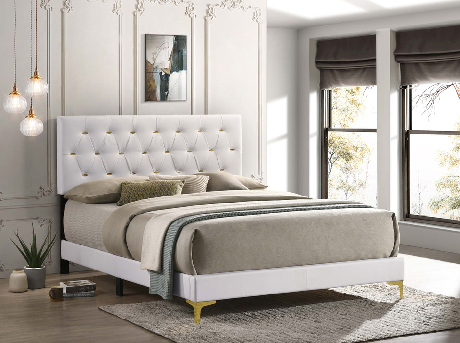 Kendall Tufted Upholstered Panel Bed White - Evans Furniture (CO)