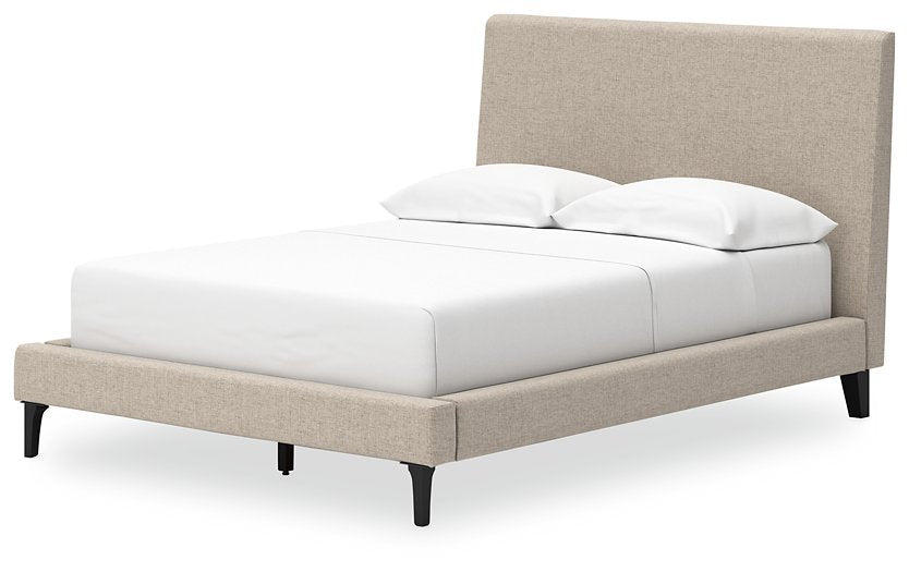 Cielden Upholstered Bed with Roll Slats - Evans Furniture (CO)