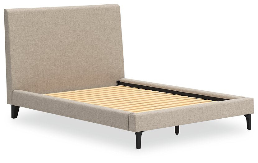 Cielden Upholstered Bed with Roll Slats - Evans Furniture (CO)