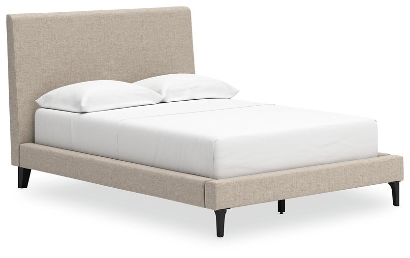 Cielden Upholstered Bed with Roll Slats - Evans Furniture (CO)