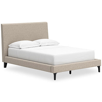 Cielden Upholstered Bed with Roll Slats - Evans Furniture (CO)