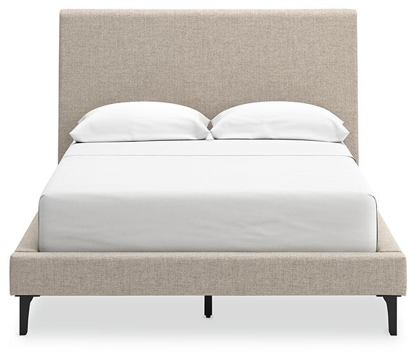 Cielden Upholstered Bed with Roll Slats - Evans Furniture (CO)