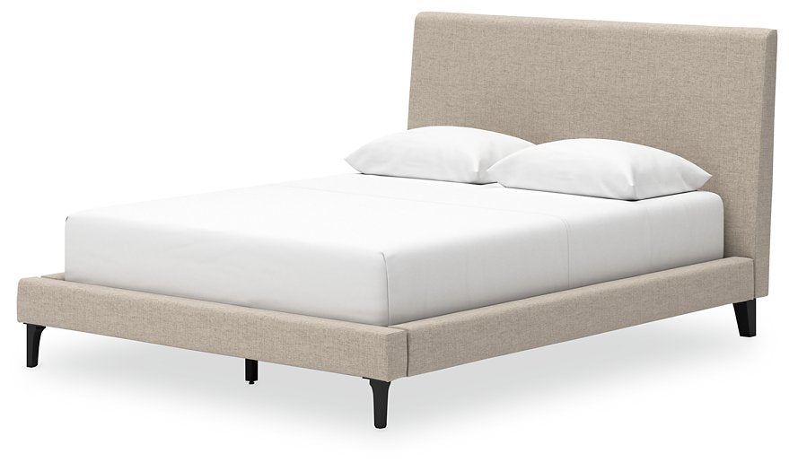 Cielden Upholstered Bed with Roll Slats - Evans Furniture (CO)