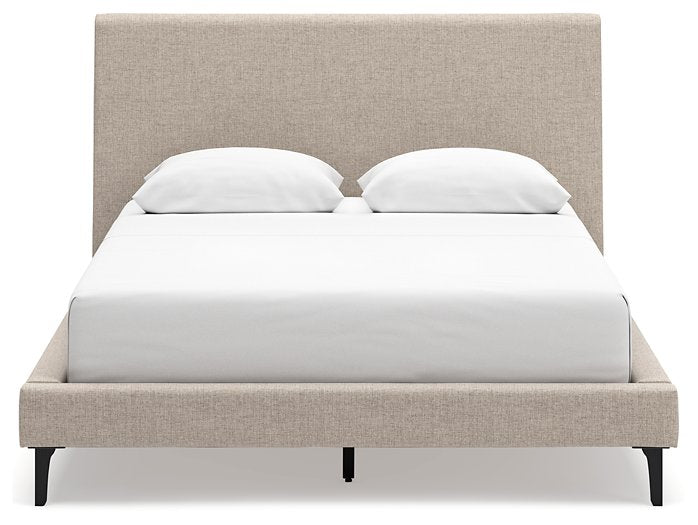 Cielden Upholstered Bed with Roll Slats - Evans Furniture (CO)