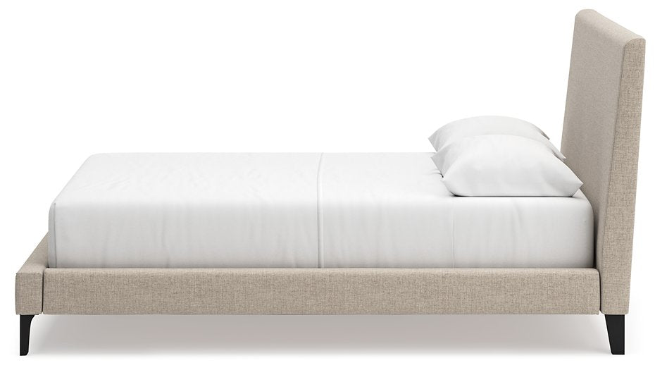Cielden Upholstered Bed with Roll Slats - Evans Furniture (CO)