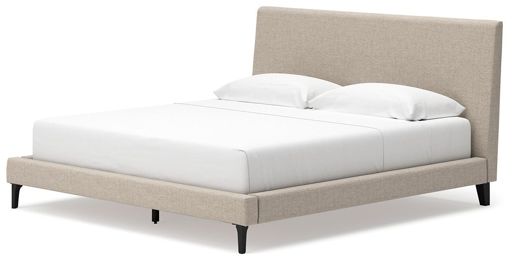 Cielden Upholstered Bed with Roll Slats - Evans Furniture (CO)