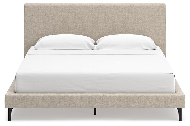 Cielden Upholstered Bed with Roll Slats - Evans Furniture (CO)