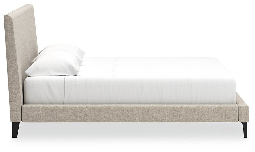 Cielden Upholstered Bed with Roll Slats - Evans Furniture (CO)