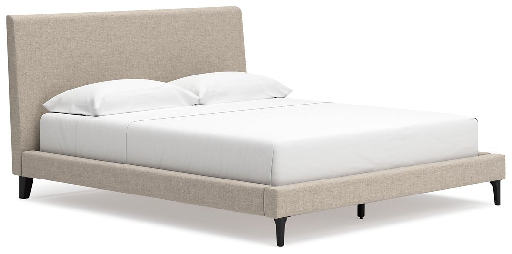 Cielden Upholstered Bed with Roll Slats - Evans Furniture (CO)