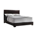 Conner Queen Upholstered Panel Bed Black and Dark Brown - Evans Furniture (CO)