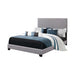 Boyd Twin Upholstered Bed with Nailhead Trim Grey - Evans Furniture (CO)