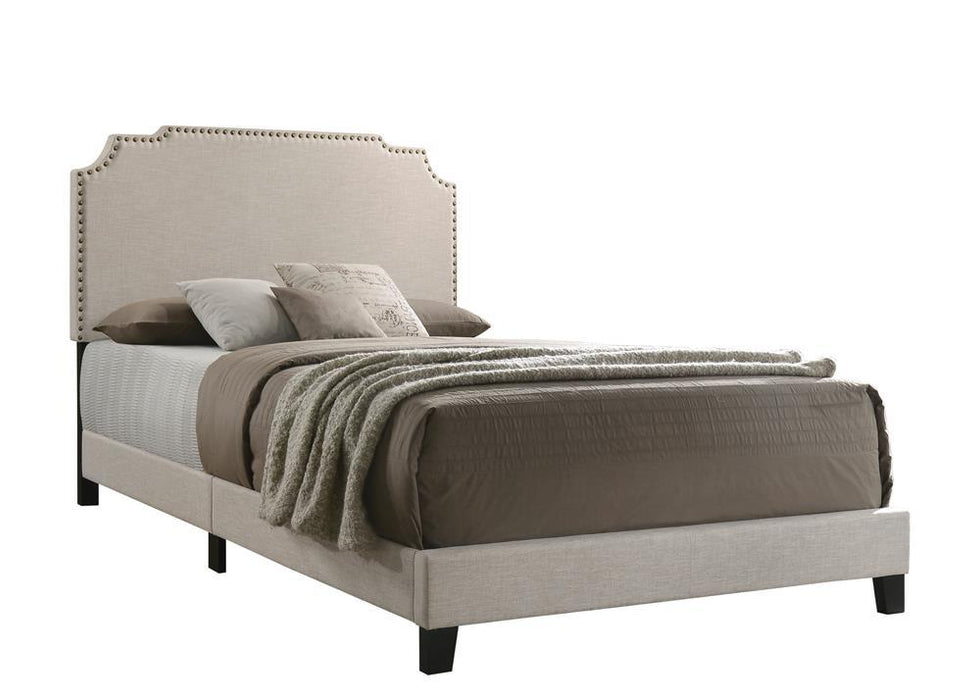 Tamarac Upholstered Nailhead Queen Bed Beige - Evans Furniture (CO)