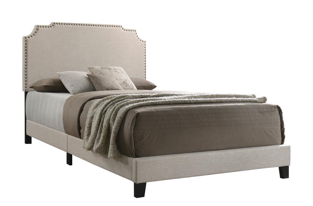 Tamarac Upholstered Nailhead Eastern King Bed Beige - Evans Furniture (CO)