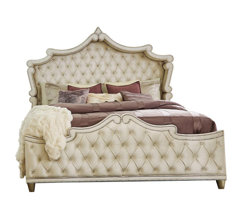 Antonella Upholstered Tufted California King Bed Ivory and Camel - Evans Furniture (CO)