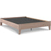 Flannia Bed - Evans Furniture (CO)