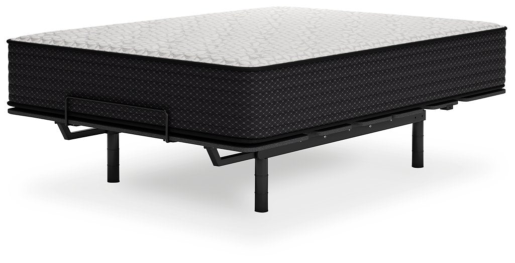 Limited Edition Plush Mattress - Evans Furniture (CO)