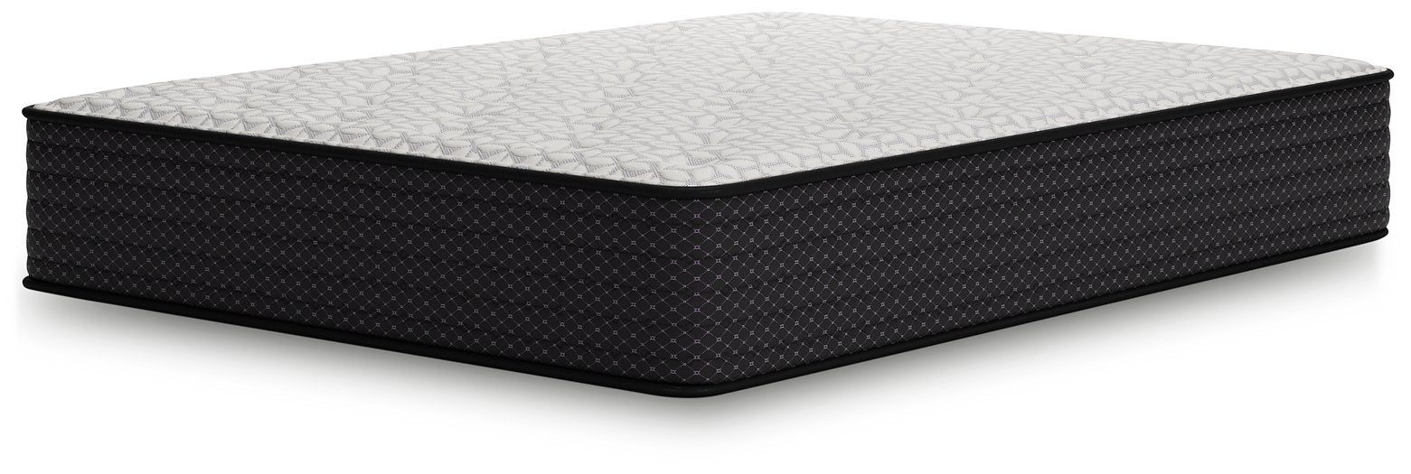 Limited Edition Plush Mattress - Evans Furniture (CO)