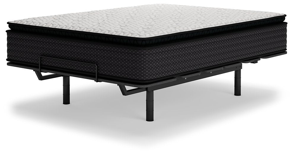 Limited Edition PT Mattress - Evans Furniture (CO)