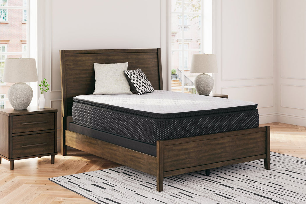 Limited Edition PT Mattress - Evans Furniture (CO)