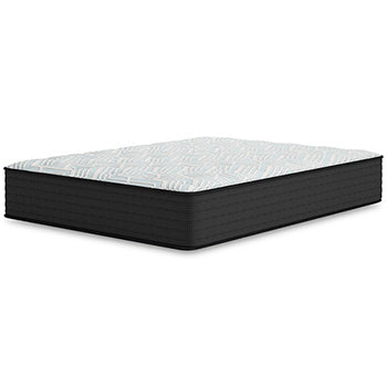 Palisades Firm Mattress - Evans Furniture (CO)