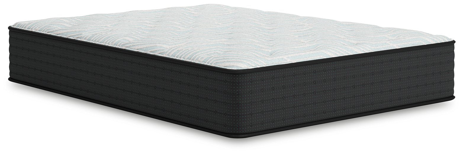 Palisades Firm Mattress - Evans Furniture (CO)