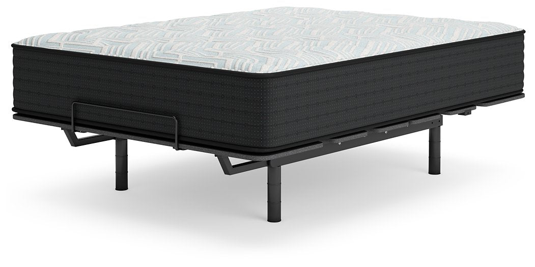 Palisades Firm Mattress - Evans Furniture (CO)