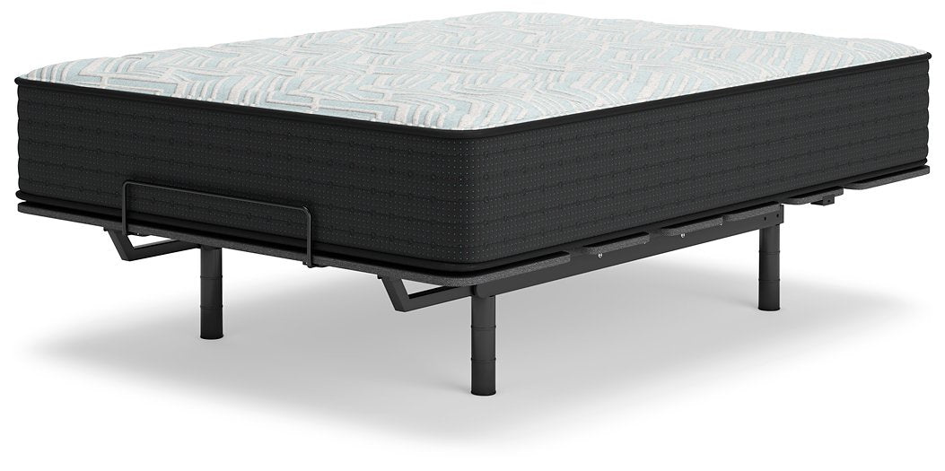 Palisades Plush Mattress - Evans Furniture (CO)