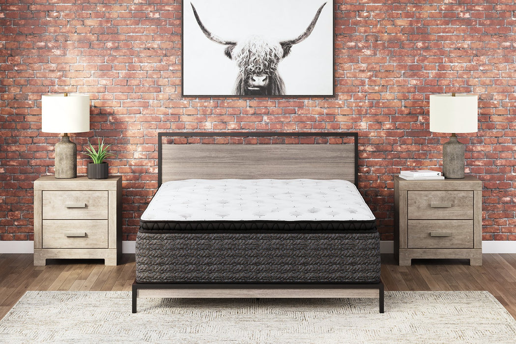 Ultra Luxury PT with Latex California King Mattress - Evans Furniture (CO)