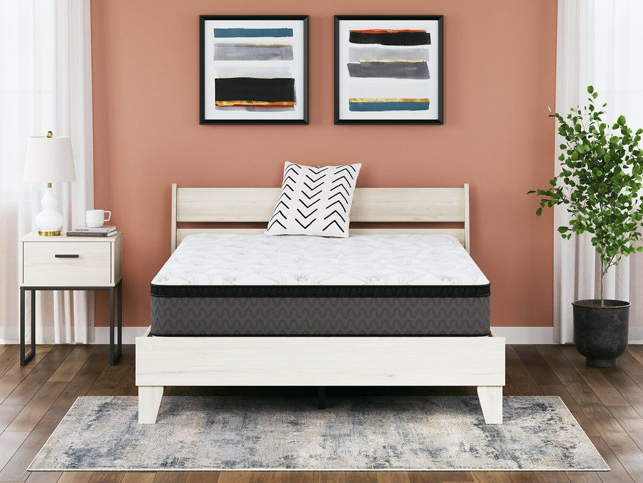 12 Inch Pocketed Hybrid Mattress - Evans Furniture (CO)