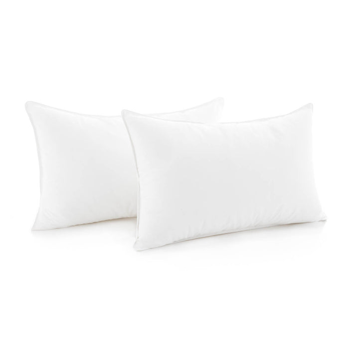 Compressed Weekender Pillow -2-Pack - Evans Furniture (CO)