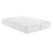 Wellsville 11" Air Foam Gel Mattress - Evans Furniture (CO)