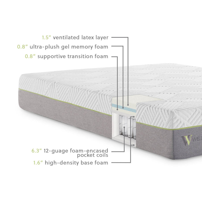 Wellsville 11" Latex Hybrid Mattress - Evans Furniture (CO)