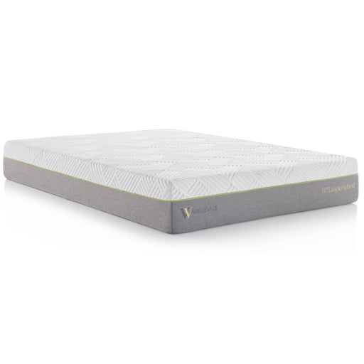 Wellsville 11" Latex Hybrid Mattress - Evans Furniture (CO)