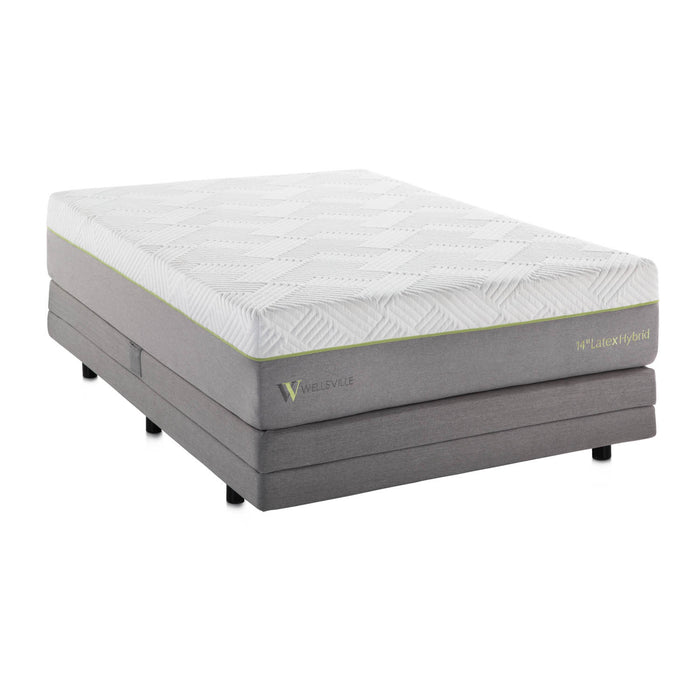 Wellsville 14" Latex Hybrid Mattress - Evans Furniture (CO)