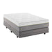 Wellsville 14" Latex Hybrid Mattress - Evans Furniture (CO)