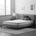 Weekender 8" Hybrid Mattress - Firm - Evans Furniture (CO)